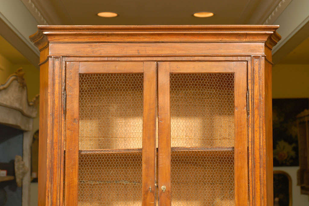 18th Century Venetian Biblioteque