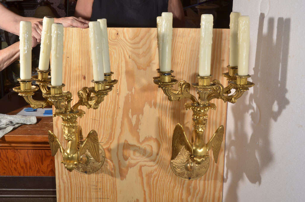 Exquisite Pair of Gold Plated, very Heavy, solid Cast Brass, Winged Gargoyl Candelabra, Electrified with five candles on each one.
