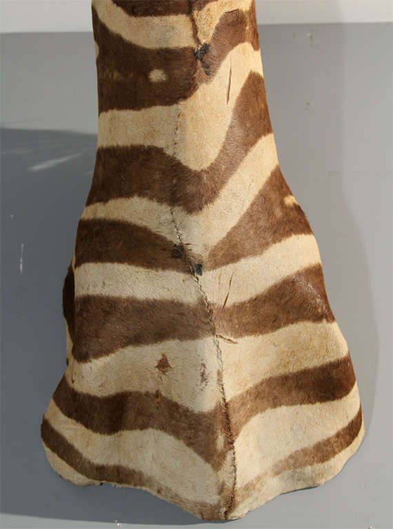 Vintage Taxidermy Zebra Head