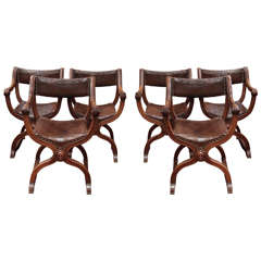Set of Six Curule Chairs