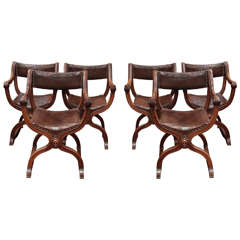 Set of Six Curule Chairs