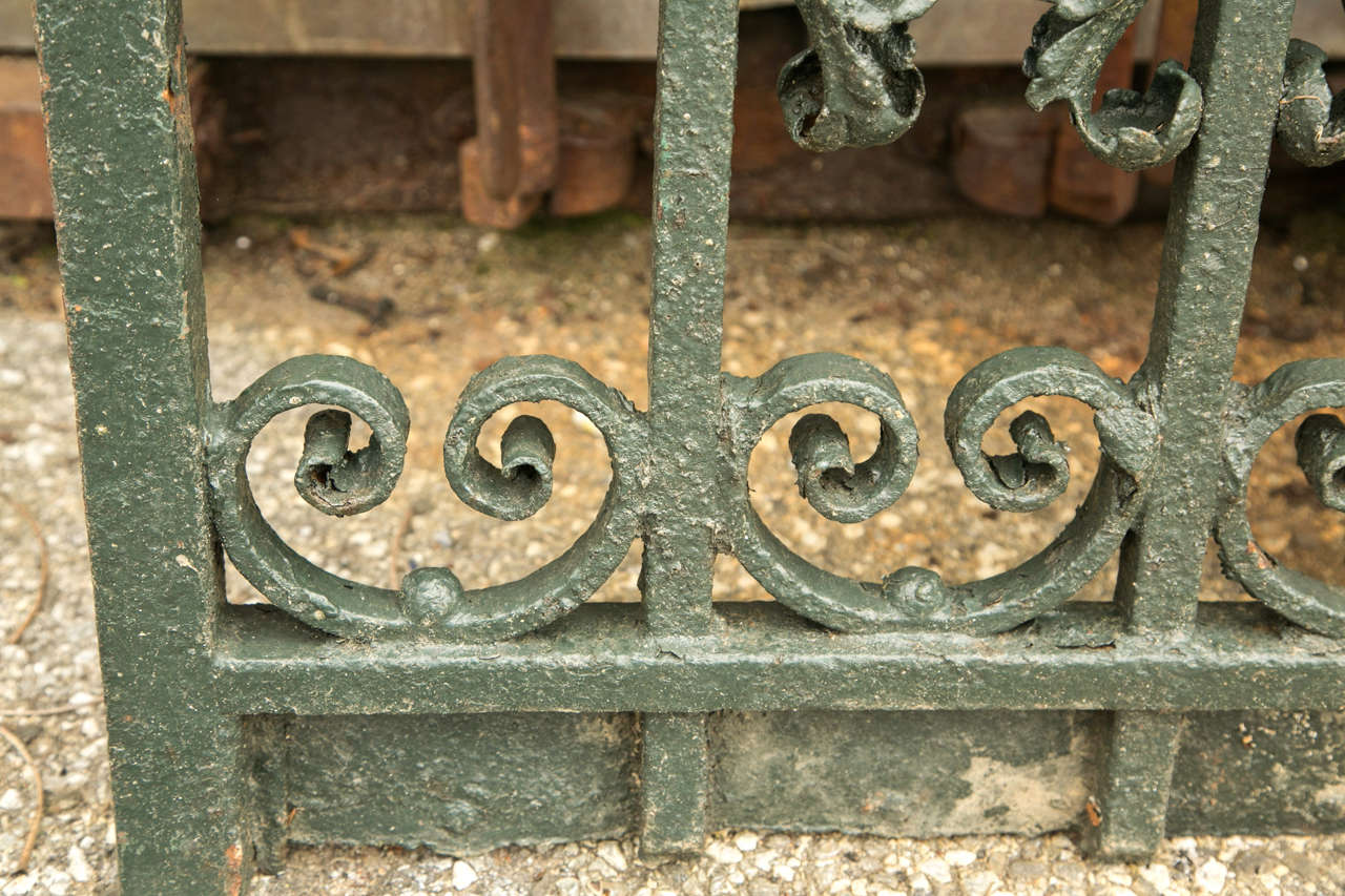 An antique pair of wrought iron gates with scroll decoration over entire door panels.  These excellent gates were fabricated prior to electric welding.  They are pinned and riveted together.  Doors have original latch and catch with lock at the