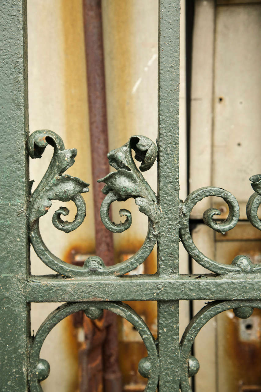 American Antique Pair of Wrought Iron Gates