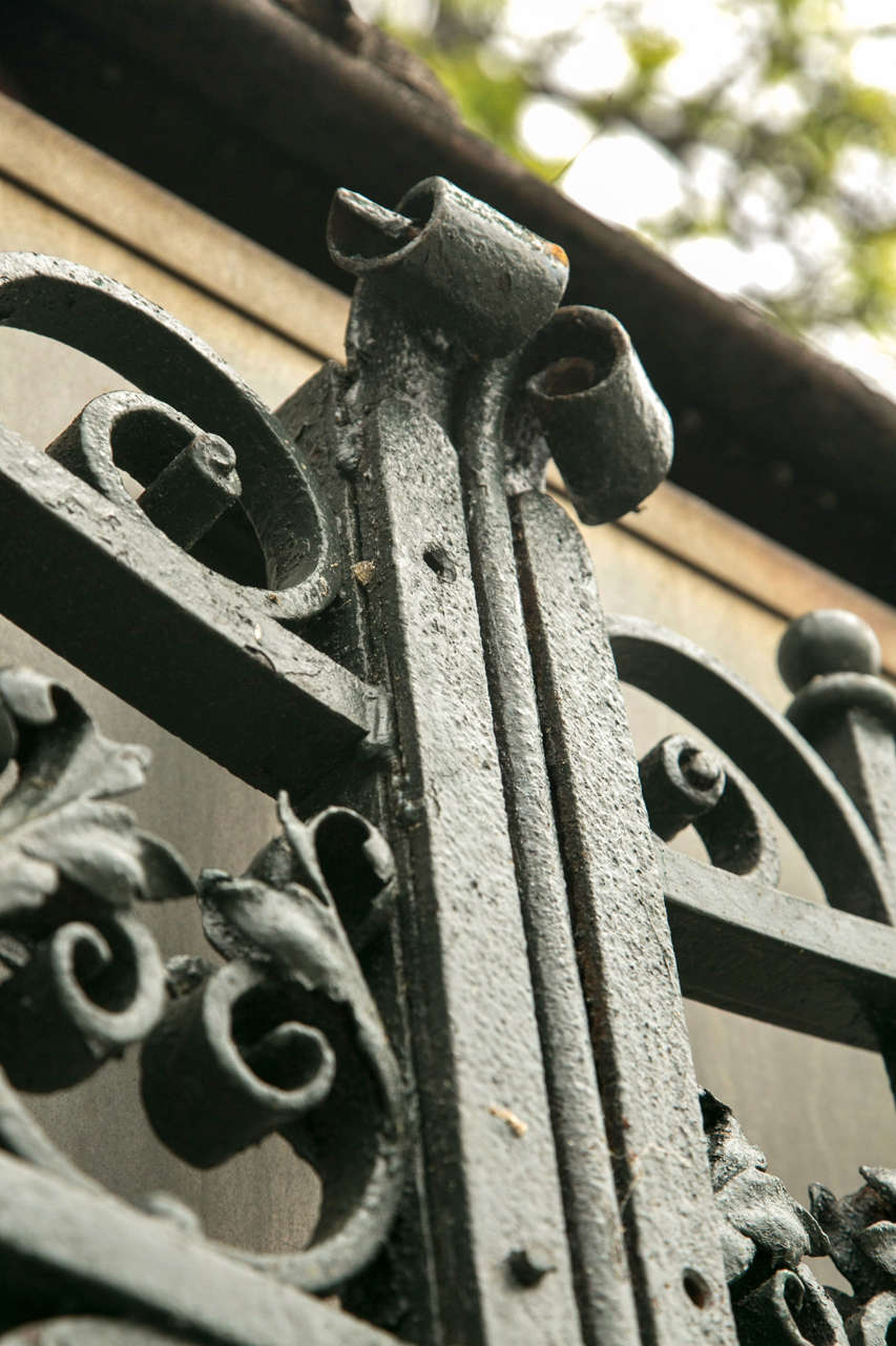 Antique Pair of Wrought Iron Gates 4
