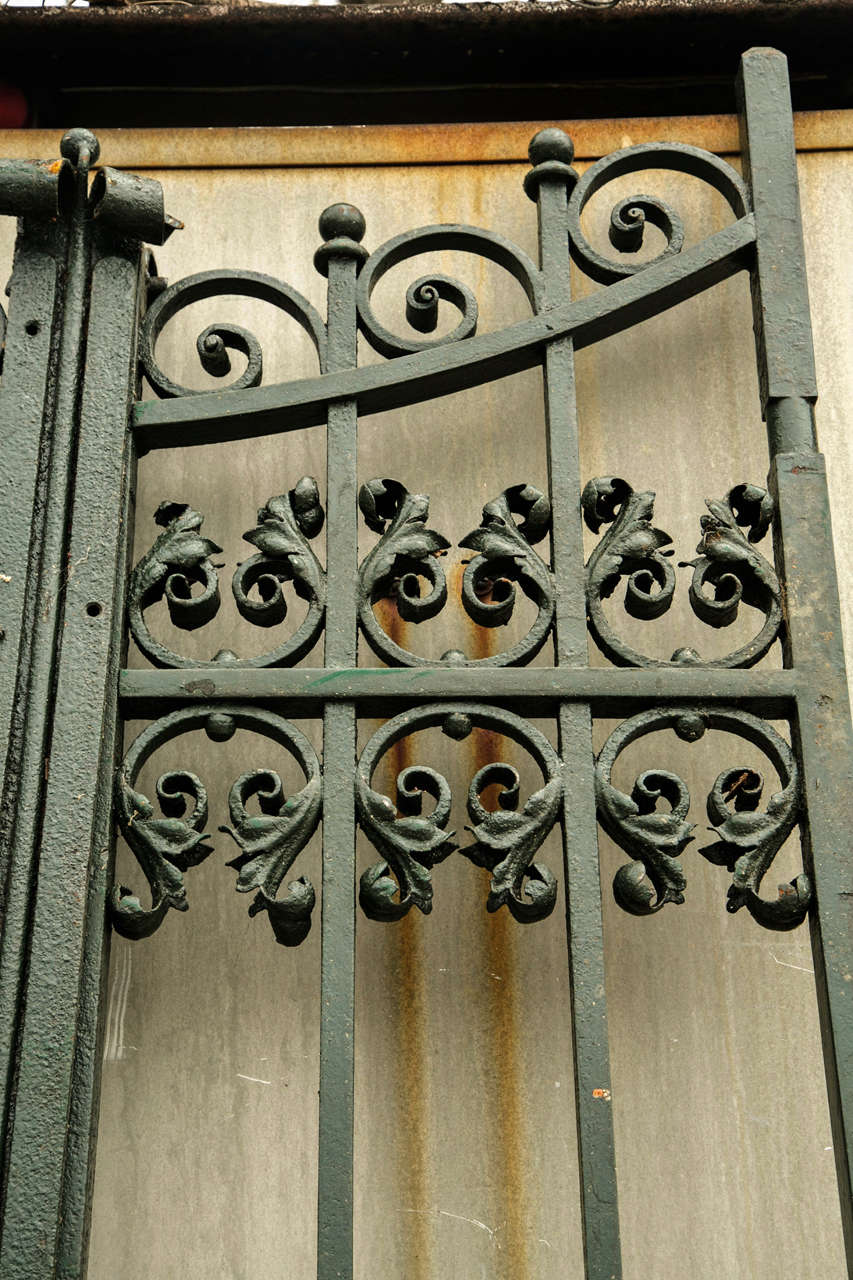Antique Pair of Wrought Iron Gates at 1stDibs