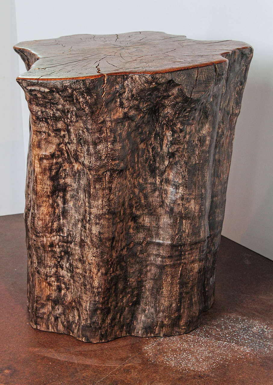 Organic Form Lychee Tree Trunk End Table, can be used as Pedestal as well.