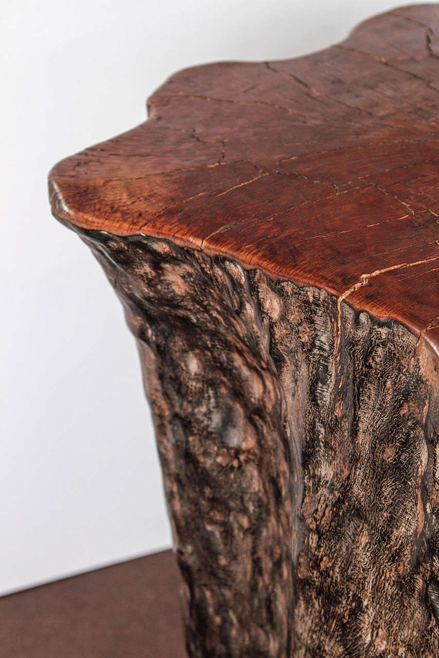 Organic Form Lychee Tree Trunk Pedestal or End Table 1