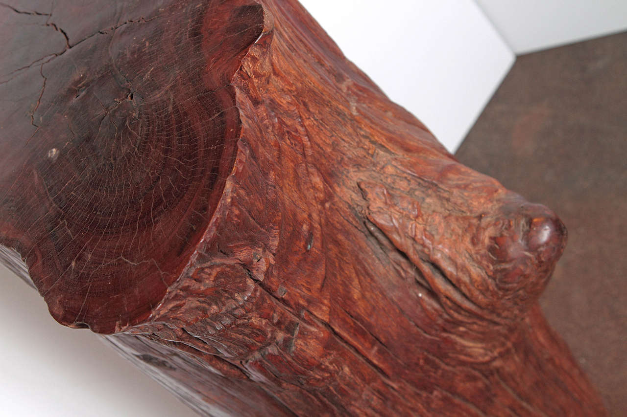 Wood Organic Tree Trunk Table, 29