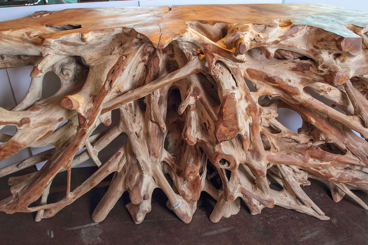 teak roots