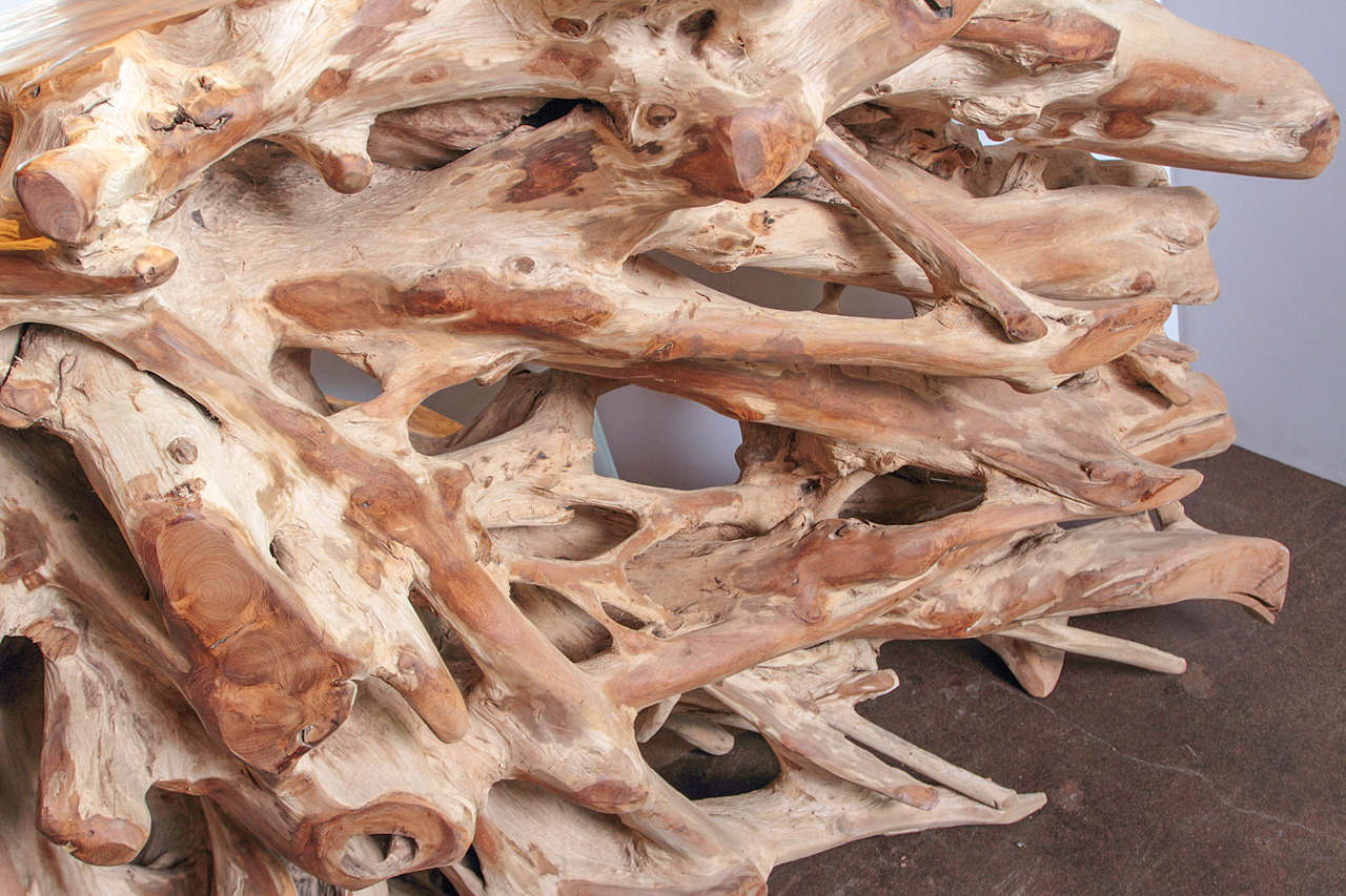 teak root table