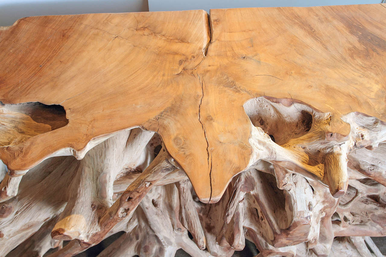 Teak Root Console Table In Good Condition In Dallas, TX