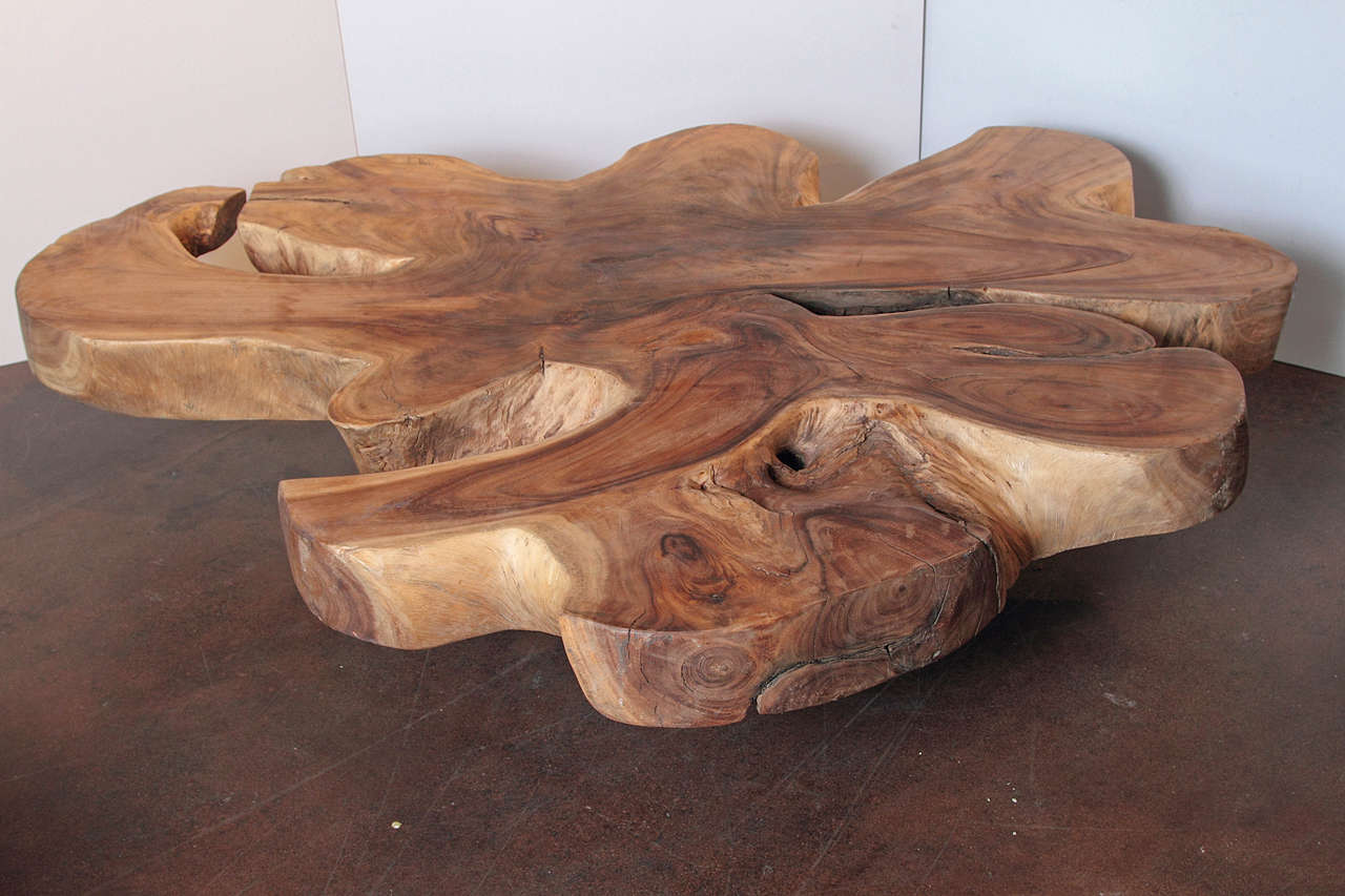 Organic Form Lychee Wood Coffee Table on Thick Cast Iron Hairpin Legs