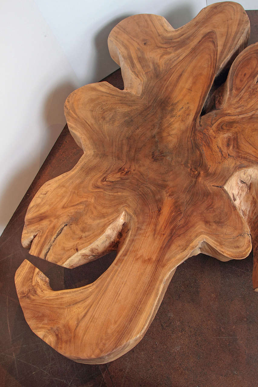 Organic Modern Organic Form Lychee Wood Coffee Table
