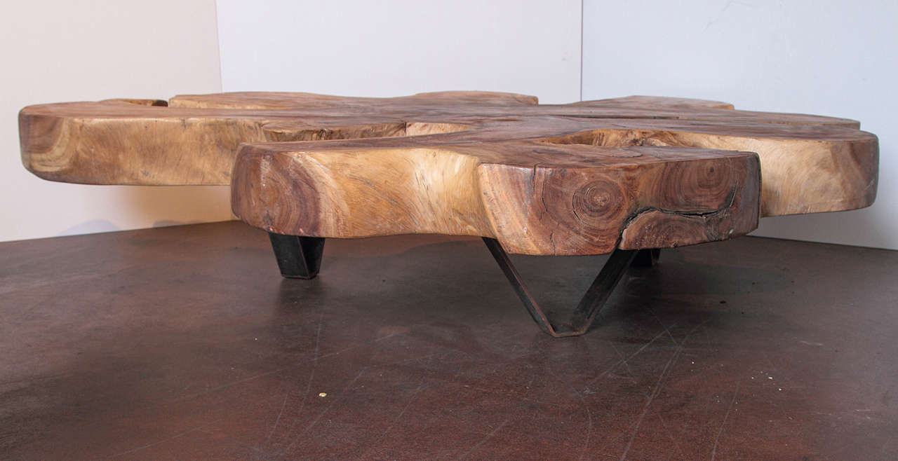 Organic Form Lychee Wood Coffee Table In Good Condition In Dallas, TX