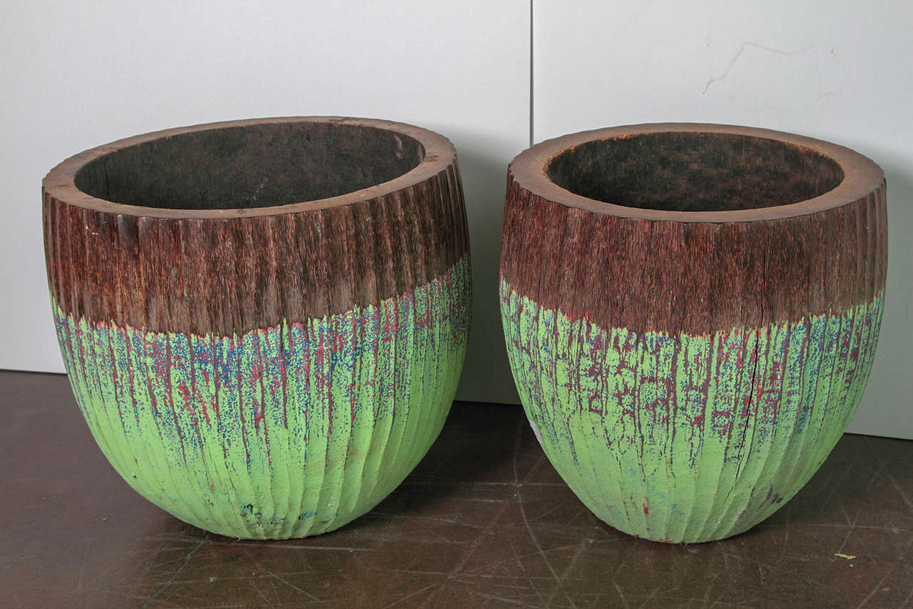 Organic Green Palm Bowls  4