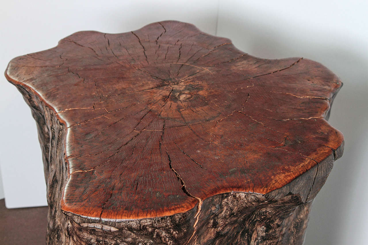Organic Form Lychee Tree Trunk Pedestal or End Table at 1stDibs