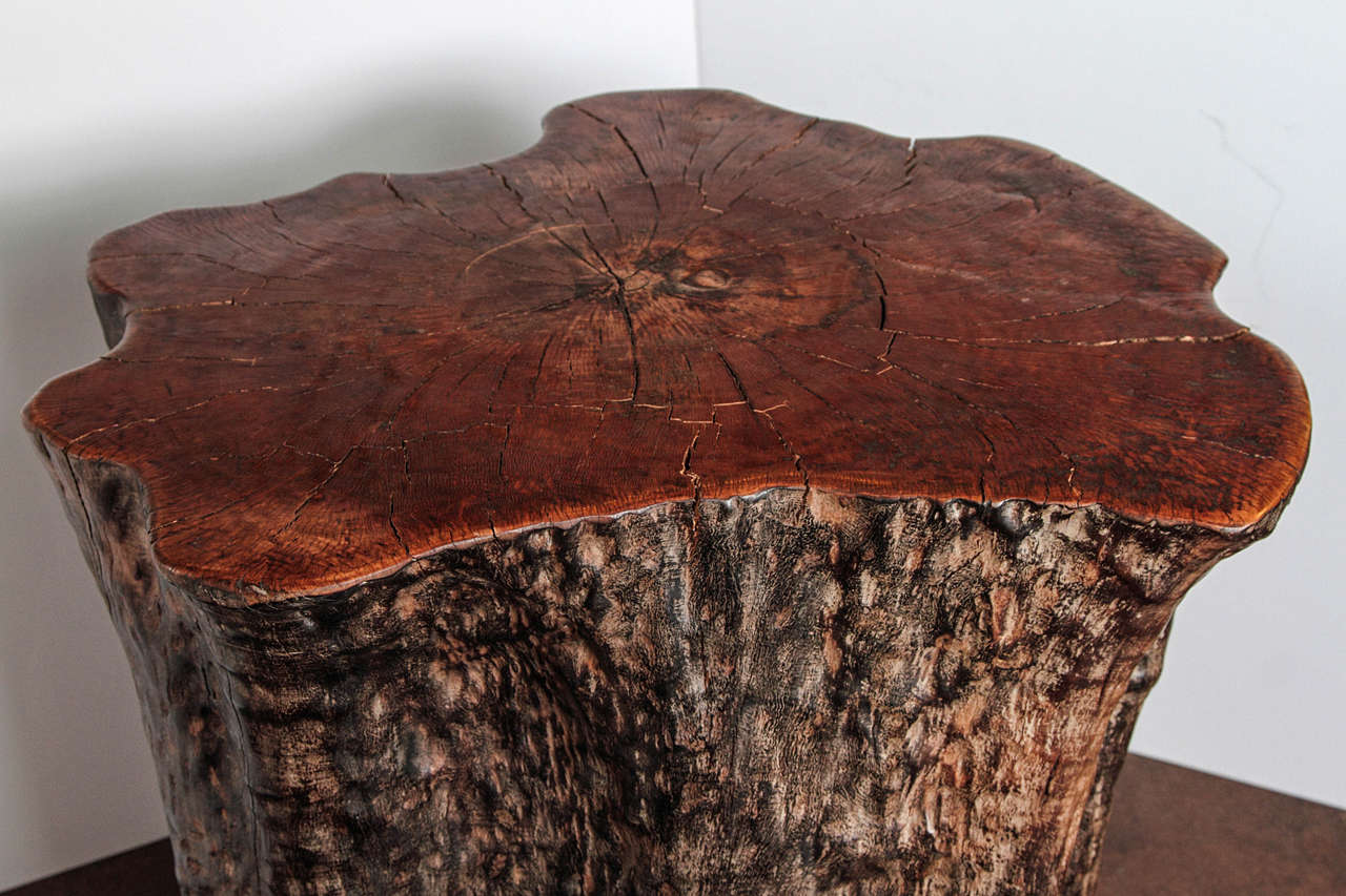 Organic Form Lychee Tree Trunk Pedestal or End Table at 1stDibs