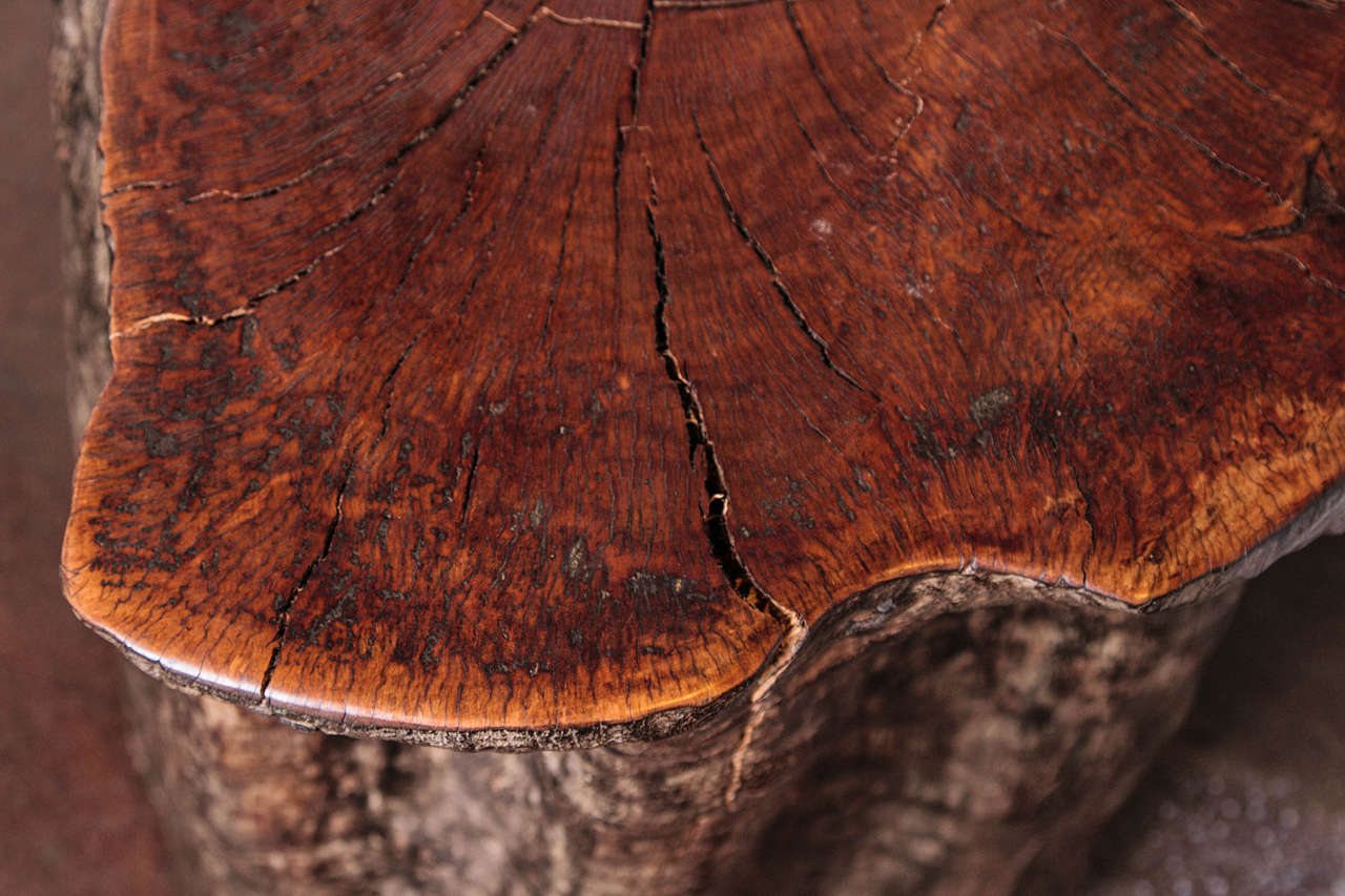 Organic Form Lychee Tree Trunk Pedestal or End Table at 1stDibs