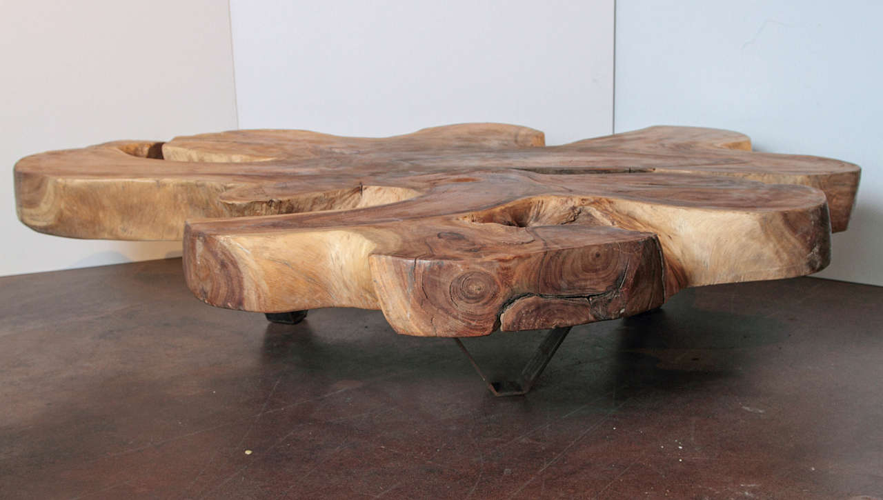 Organic Form Lychee Wood Coffee Table at 1stdibs
