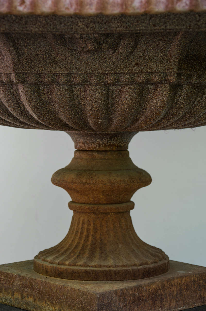 20th Century Pair of Large Edwardian Cast Iron Urns