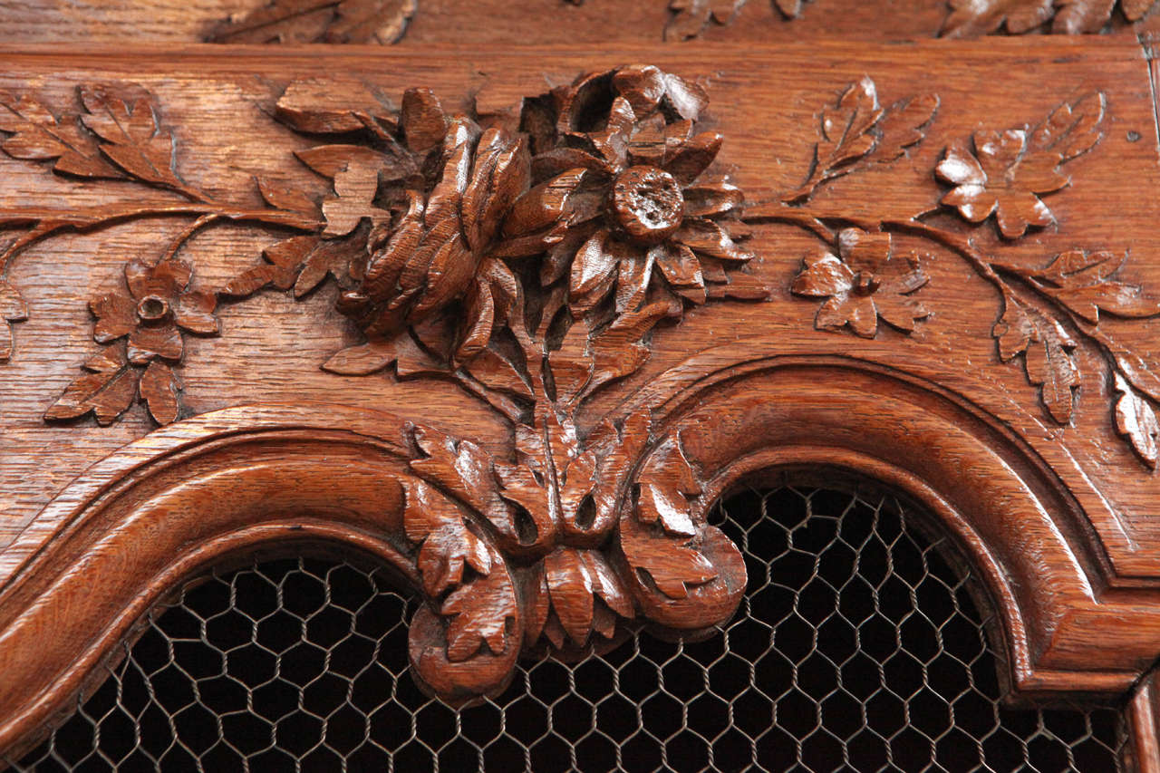 18th Century French Oak Vitrine with Floral Vine Ribbon Motif 1