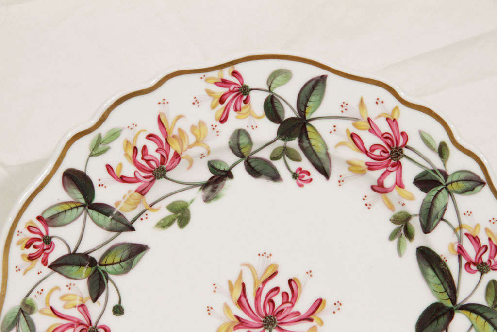 A Set of a Dozen Chamberlain's Worcester  Dinner Plates