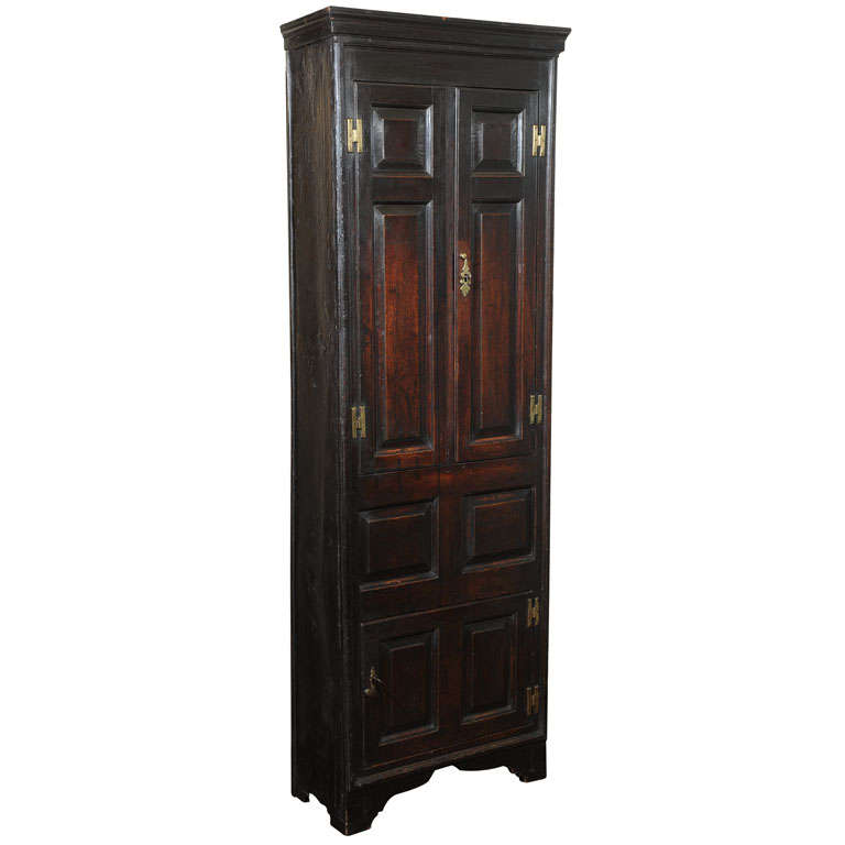 Tall Narrow Oak Cupboard at 1stDibs