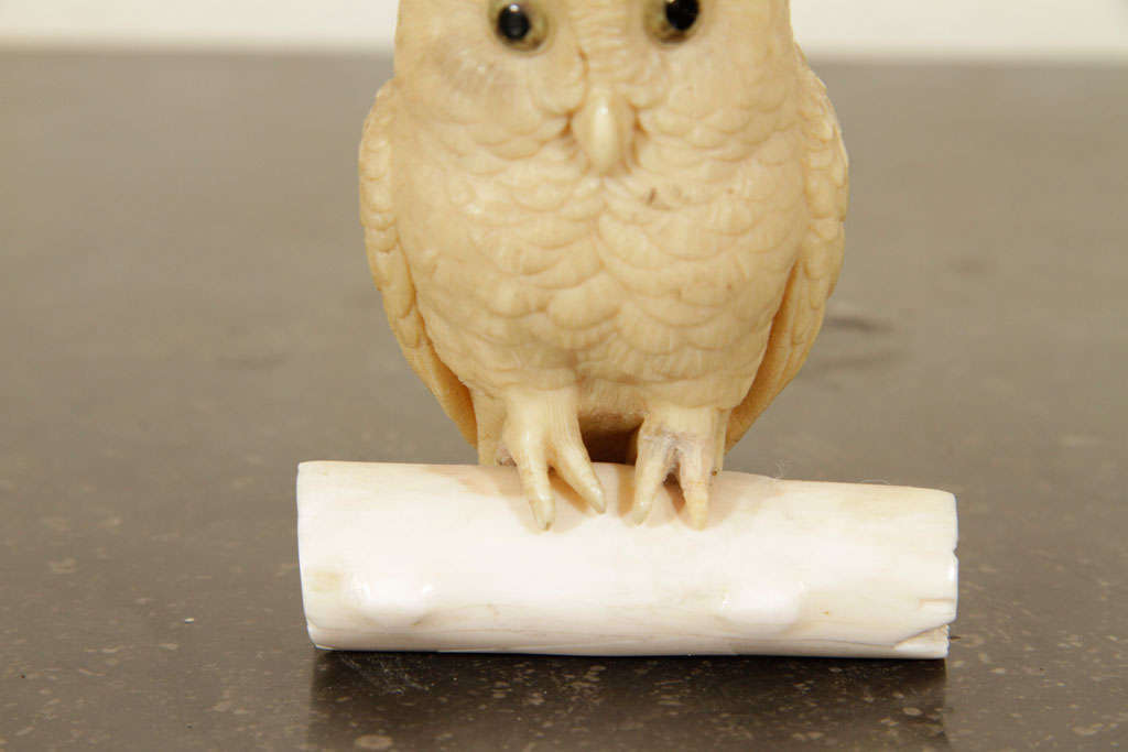 Ivory Japanese Meiji Okimono of an Owl