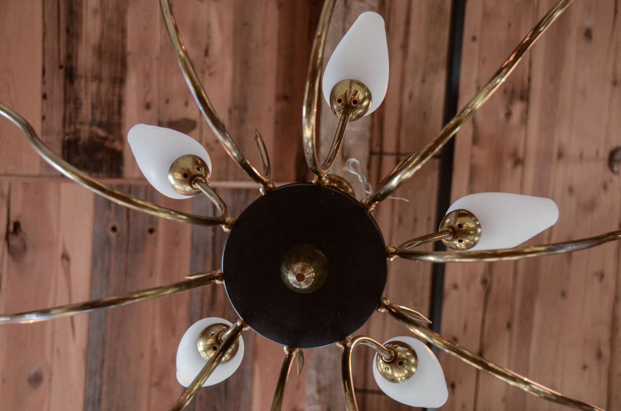 French Mid-Century Brass Chandelier with opaque glass shades 3