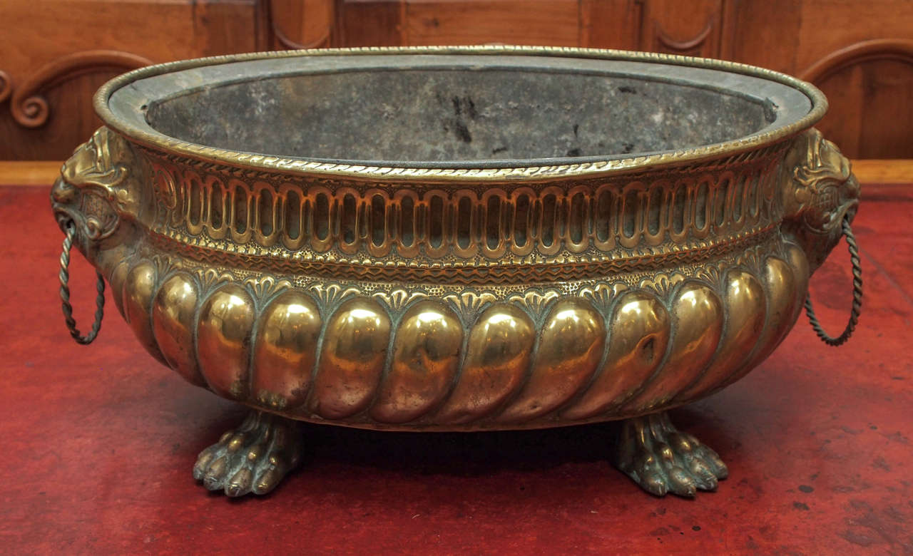 A brass jardinière with tin liner, on paw feet, the jardinière covered in muscular gadrooning and having ring pulls set in leonine faces.