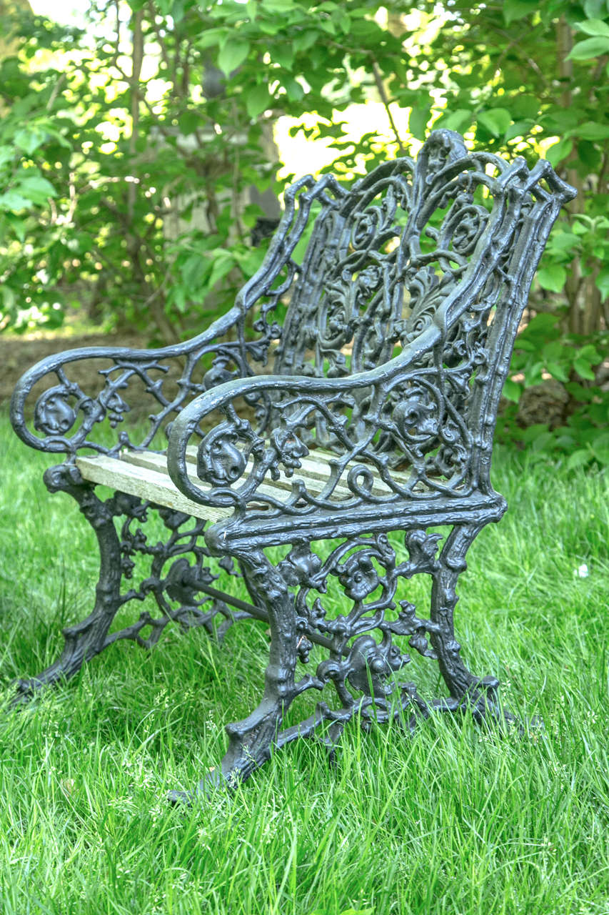 Victorian Pair of Cast Iron Botanical Chairs