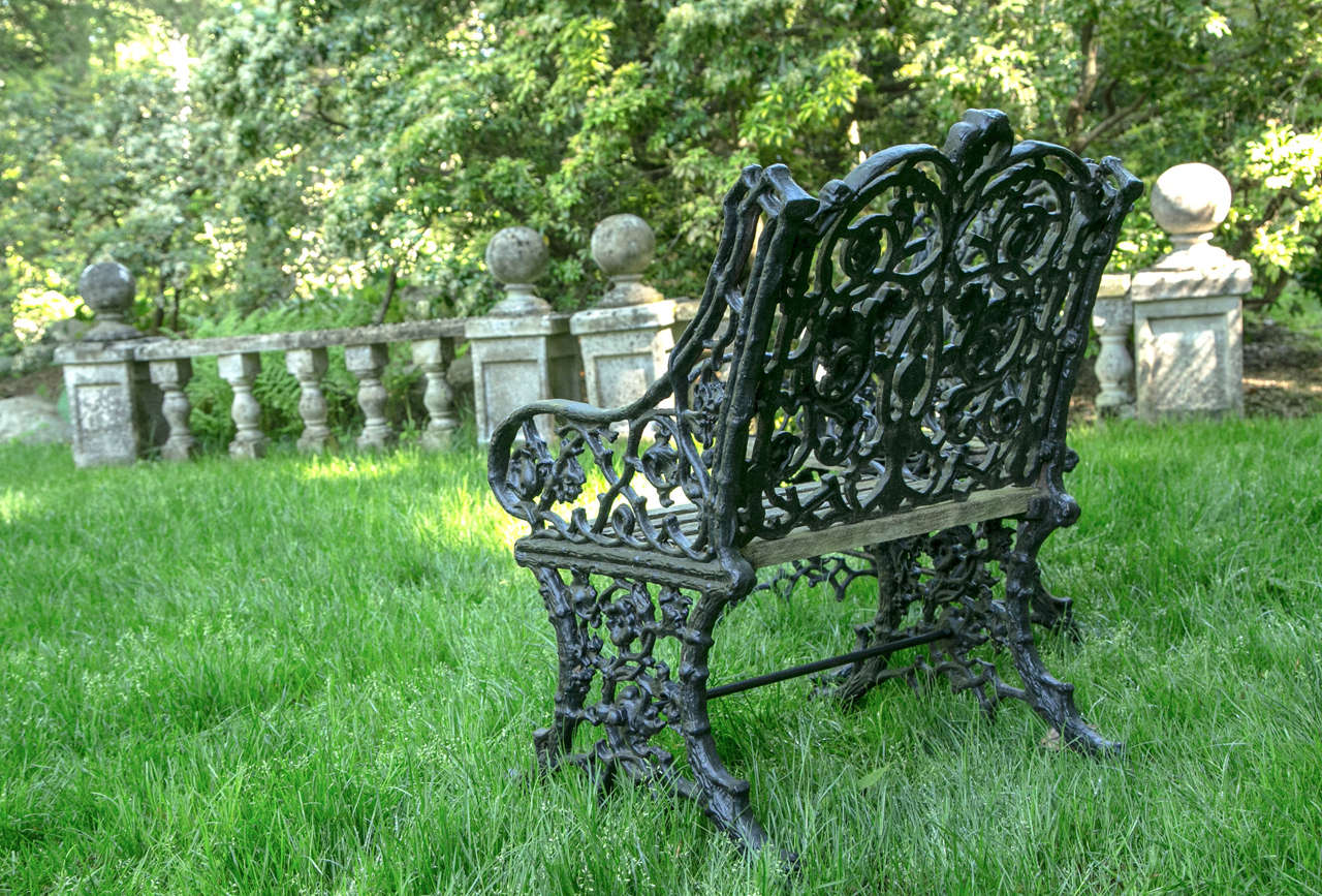 Pair of Cast Iron Botanical Chairs 1