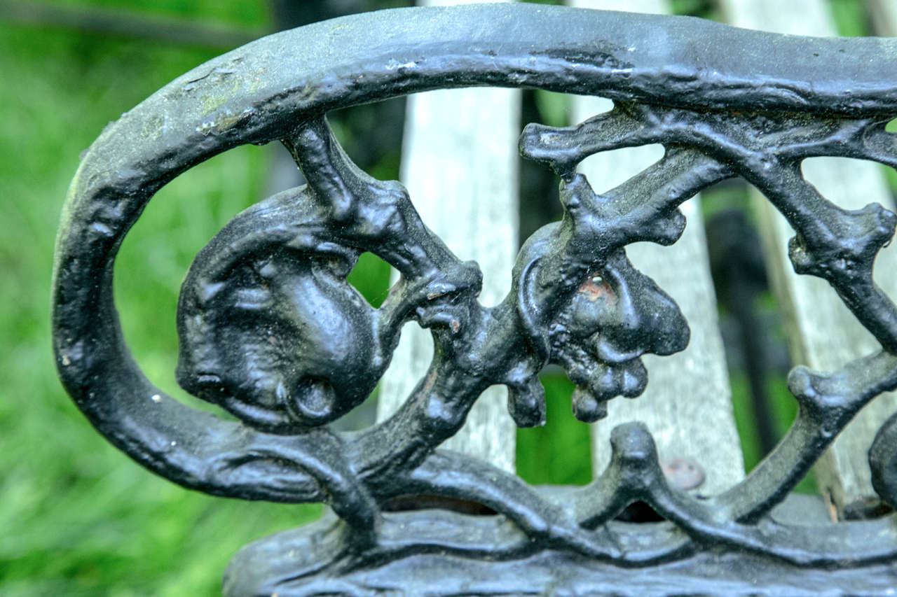 Pair of Cast Iron Botanical Chairs 2