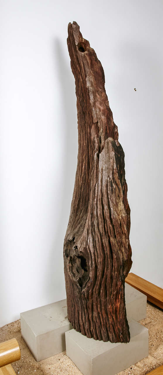 19th Century Japanese Root For Sale 4