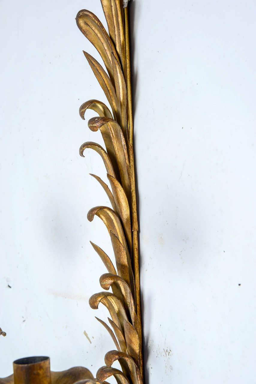 Pair of 1940s Sconces in Gilt Wrought Iron by Maison Bagues 2