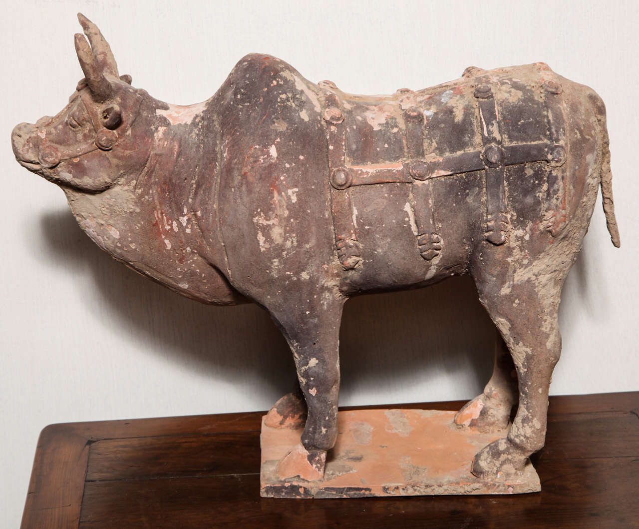 This Chinese animal figure was made with painted terracotta during the Tang dynasty (618 - 907 A.D.). This enjoyable bullock was molded with so much finesse that it displays its complete harness! The charming aspect of this figure is enhanced by the