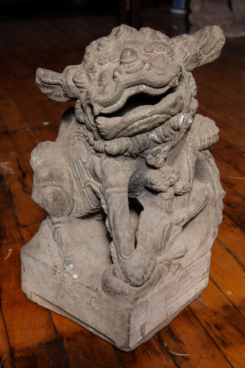 An 18th century pair of Chinese stone foo dogs/guardian lions on square bases. This rare pair of Chinese guardian lions displays a male and a female, each sitting on a base that is lightly carved with a floral motif. The animals are in lively and