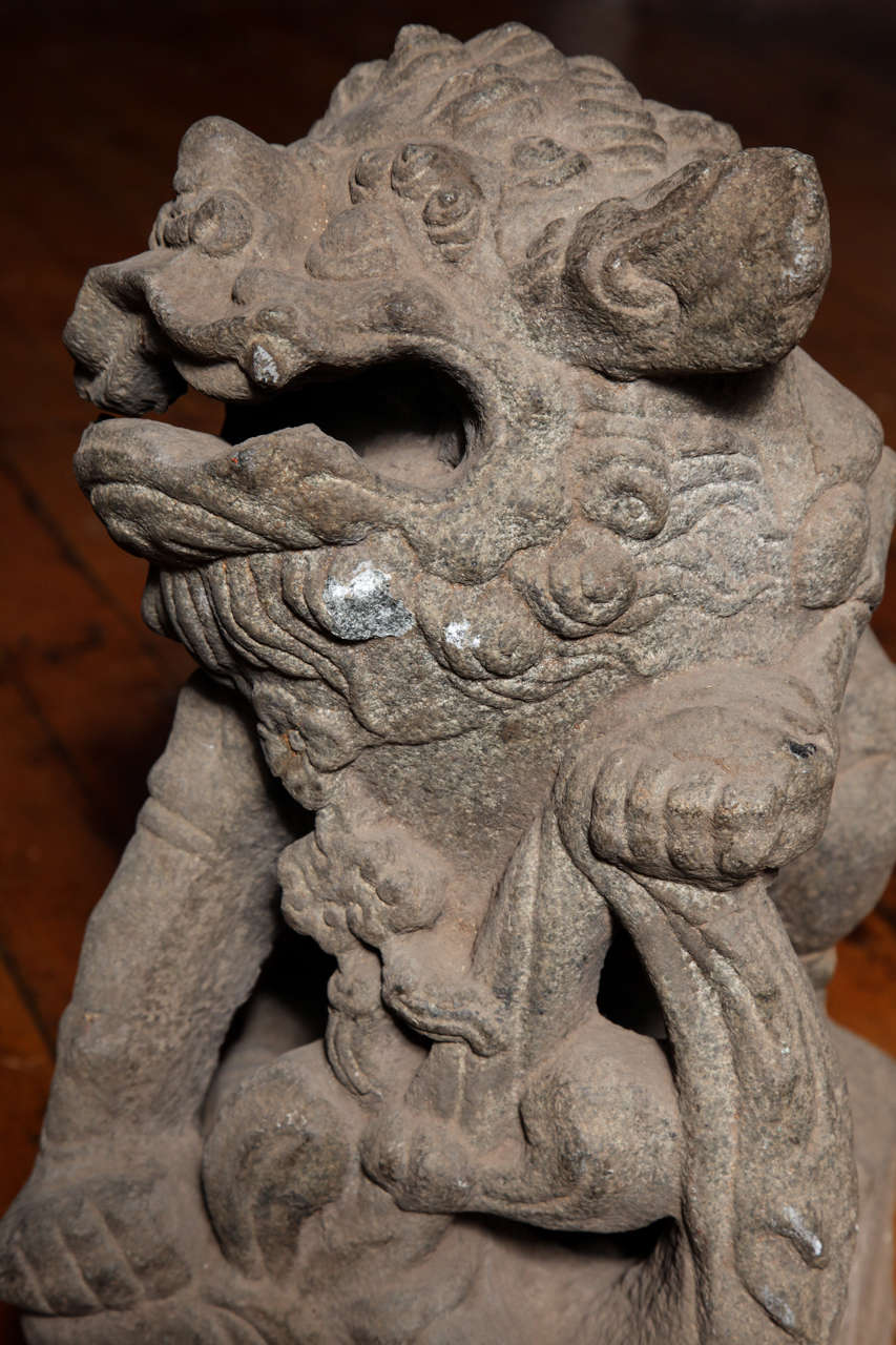 Chinese Pair of Stone Guardian Foo Dogs/Guardian Lions from 18th Century In Good Condition In Yonkers, NY