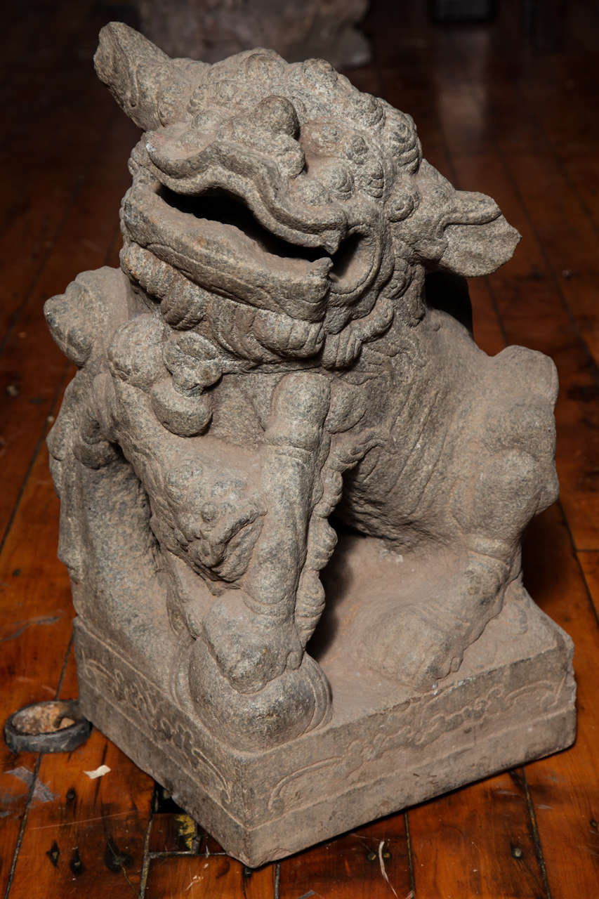 18th Century and Earlier Chinese Pair of Stone Guardian Foo Dogs/Guardian Lions from 18th Century