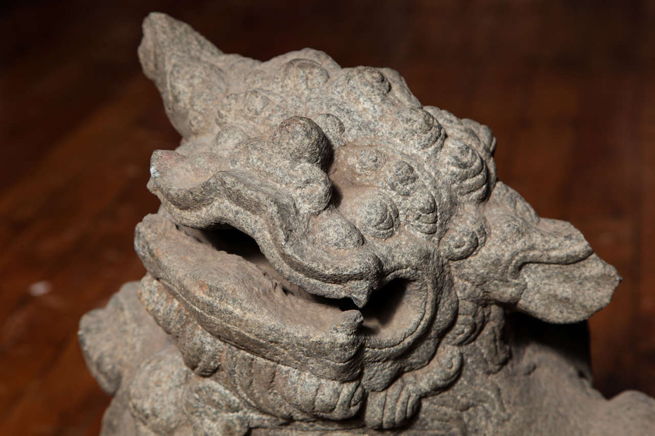 Chinese Pair of Stone Guardian Foo Dogs/Guardian Lions from 18th Century 1