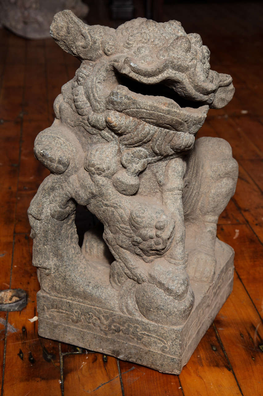 Chinese Pair of Stone Guardian Foo Dogs/Guardian Lions from 18th Century 2