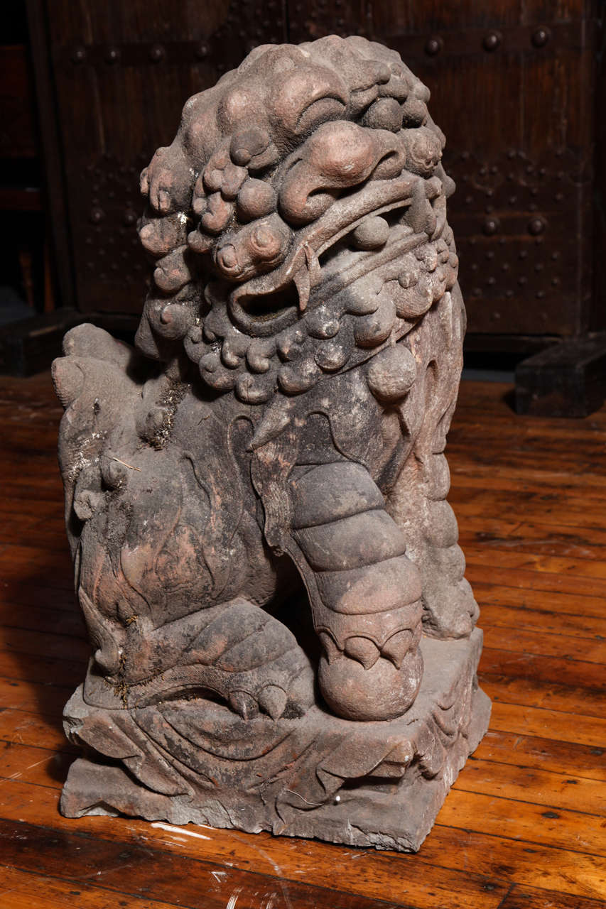 This pair of stone lions comes from China, where it was made during the late Ming dynasty (1368-1644). Each lion is carved from a massive block of stone and sits on a stand that features lightly carved drapery patterns. The lions are carved in a