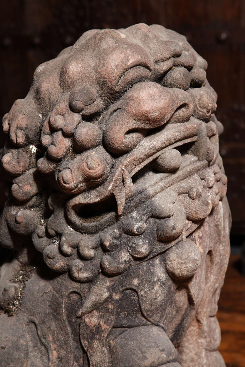 Late Ming Dynasty Antique Stone Lions from China, circa 16th-17th Century In Good Condition In Yonkers, NY