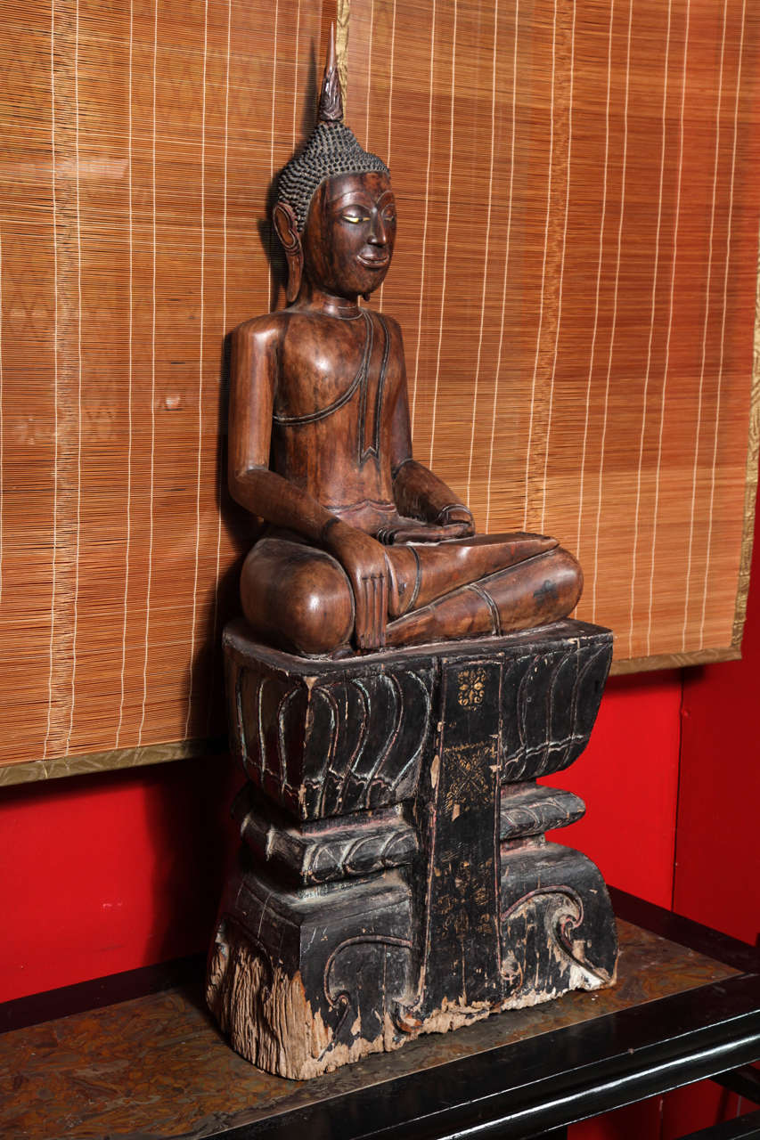 This 17th-18th century Thai seated Buddha was made with painted teak. The Buddha is seated on a high black Stand in the « calling the earth to witness » position. This scene occurs during the Buddha’s enlightenment, when Sakyamuni calls the earth to