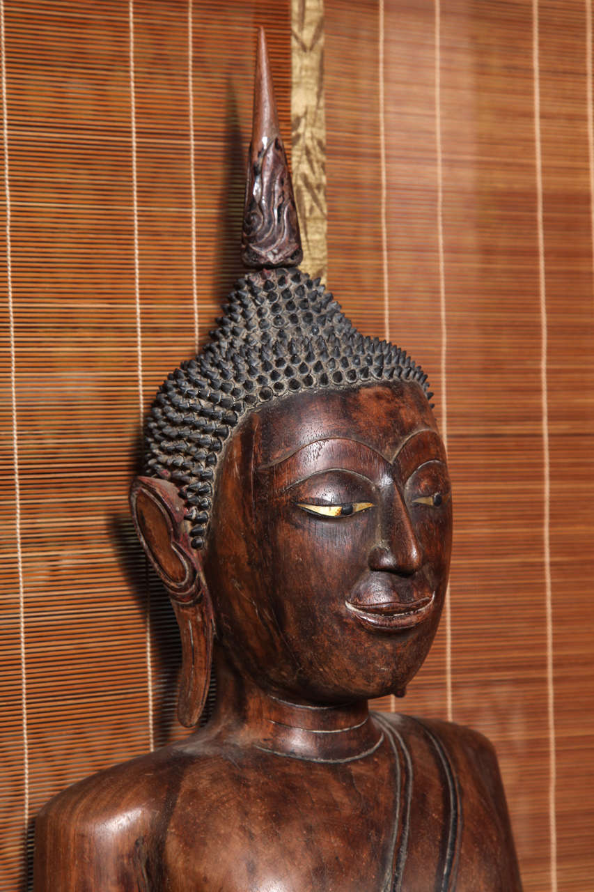 Antique Painted Teak Seated Buddha from Thailand, 17th-18th Century In Good Condition In Yonkers, NY