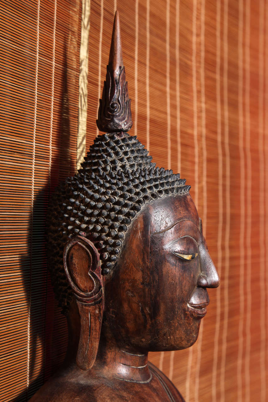 Antique Painted Teak Seated Buddha from Thailand, 17th-18th Century 5