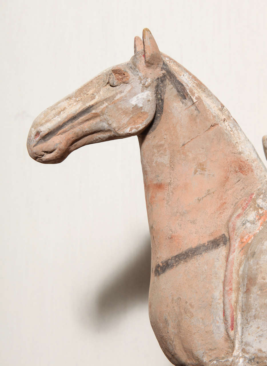 7th10th Century Tang Dynasty Terracotta Statuette of a Horse with