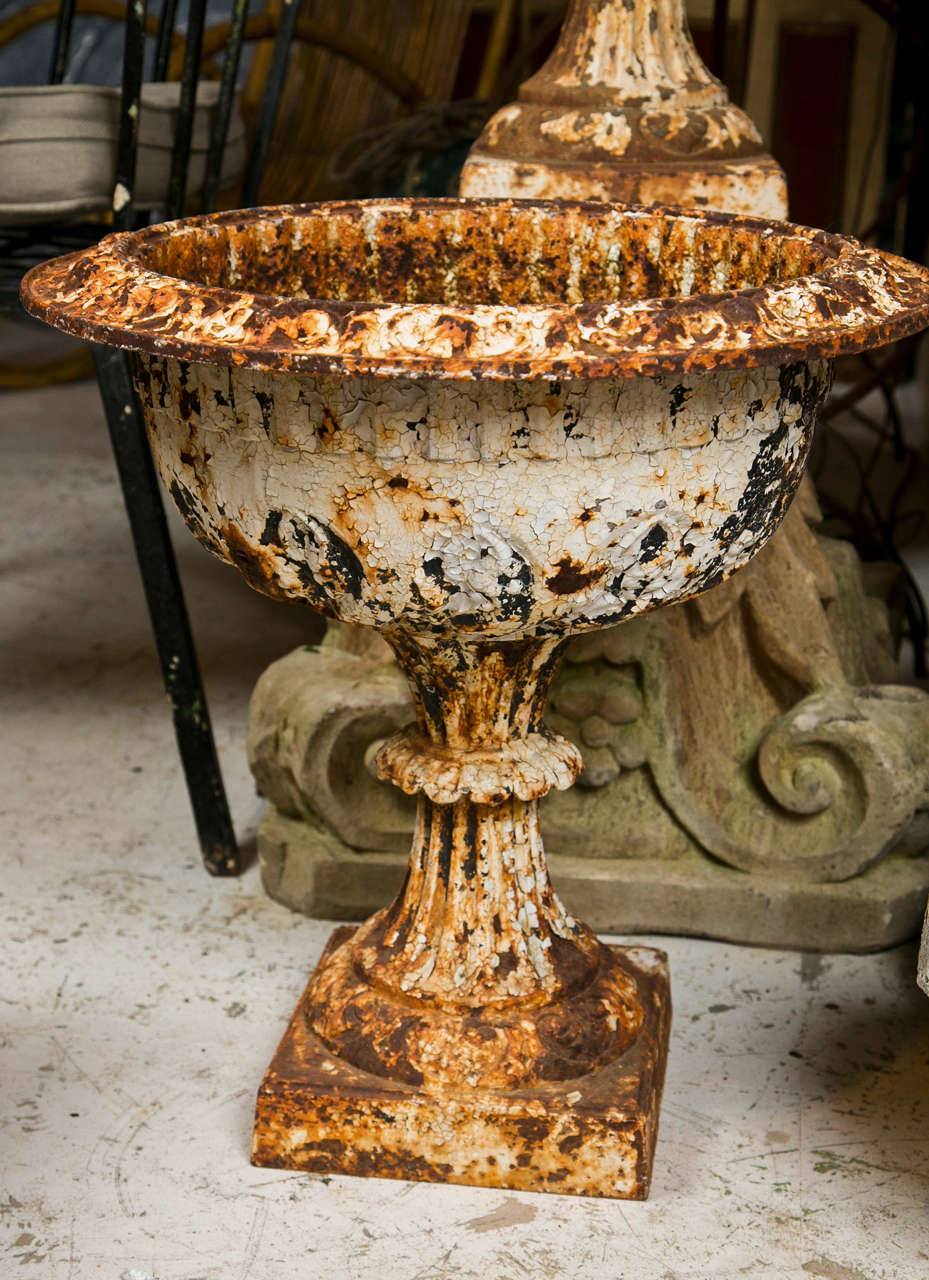 Weathered 19th C iron garden urns from a Hamptons Estate.