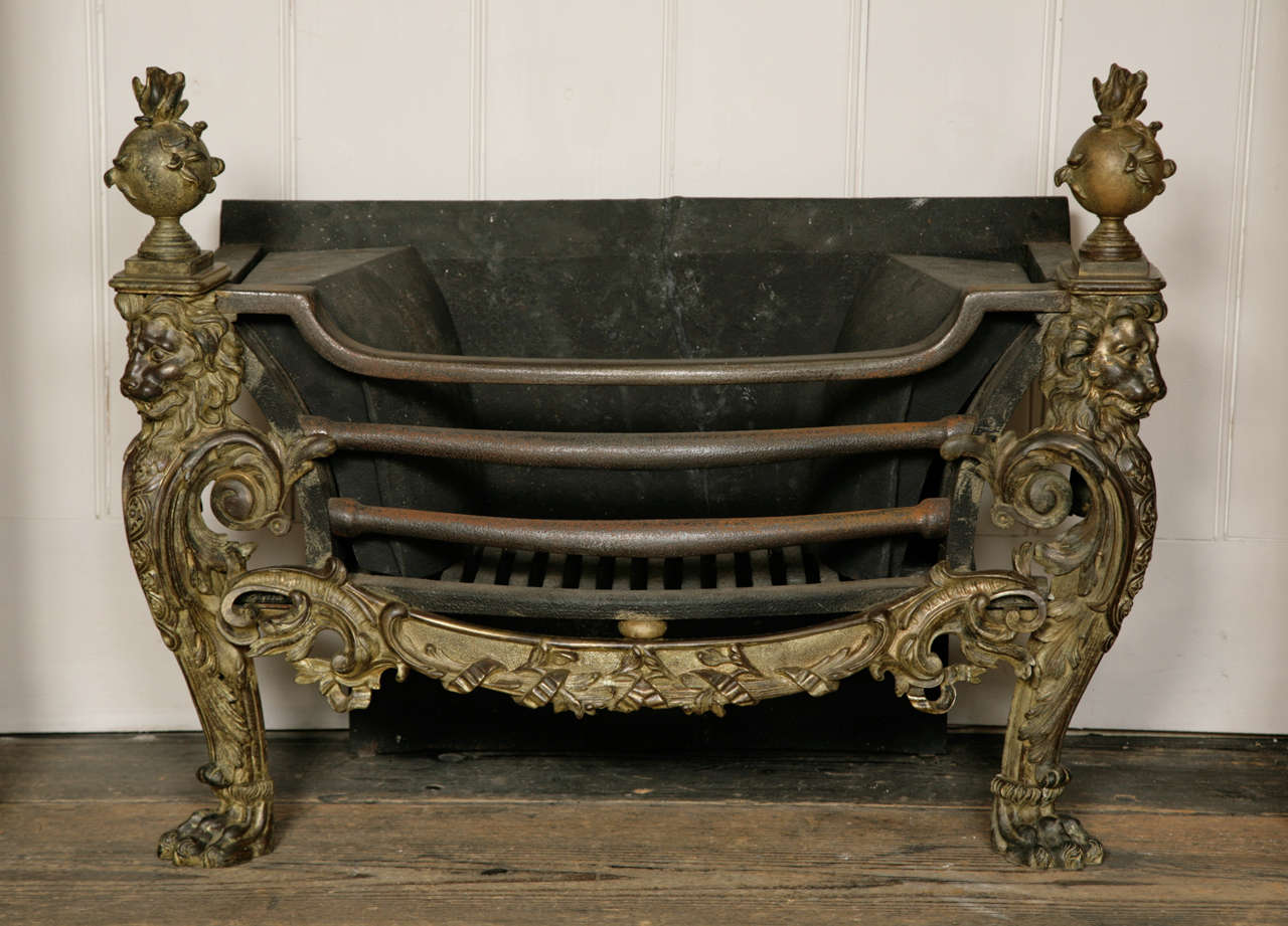 William IV Rococo Revival Bronze Grate 1