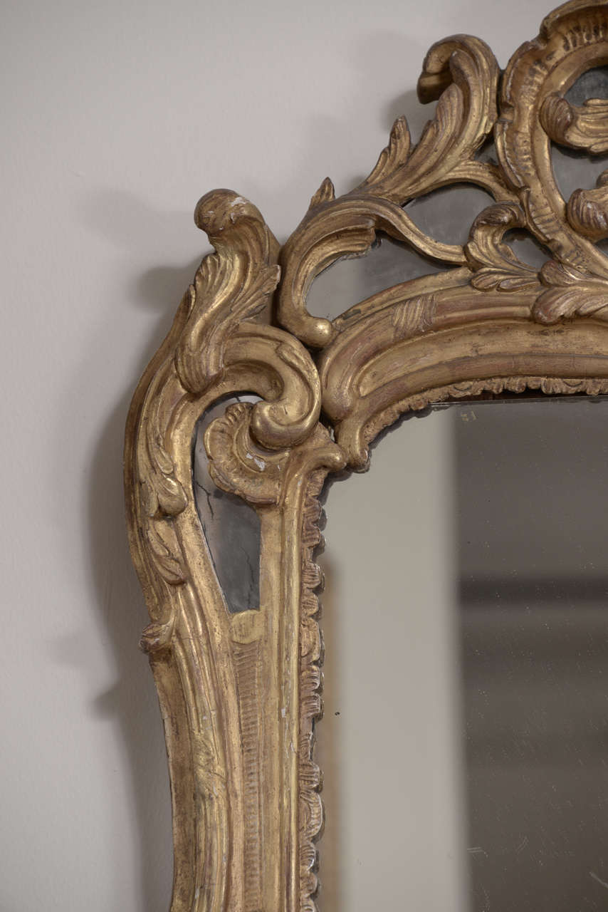 Gilt 18th Century Louis XV Bois Dore Mirror